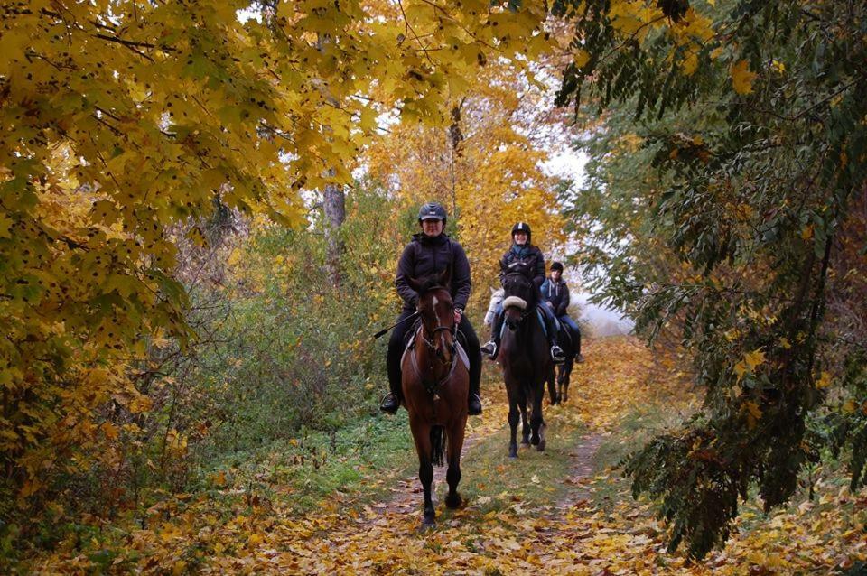 Ranch Pod Lesom Slovensky Raj Spissky Stiavnik エクステリア 写真